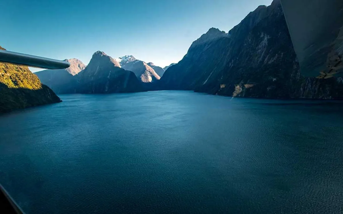The dark water of Milford Sound between its walls, seen from the air